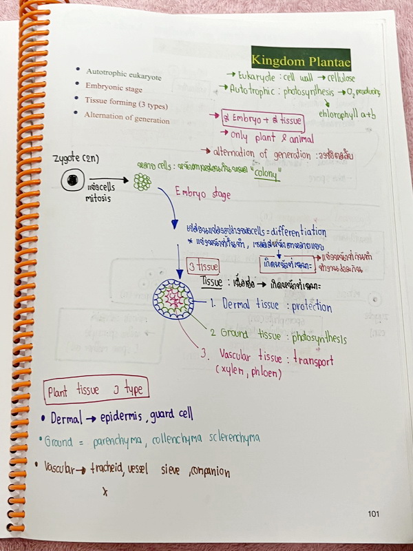 ►หมอพิชญ์ Biobeam◄ หนังสือเรียนชีววิทยา คอร์ส ICU ไอซียู ครบเซ็ท 8 เล่ม พร้อมไฟล์จดเนื้อหาครบทั้งเซ็ทแบบละเอียดมากครบทั้ง 8 เล่ม และไฟล์ชีทเสริม ในหนังสือเล่ม 1-6 จดครบเกือบทั้งเล่ม จดละเอียด มีวาดภาพประกอบเนื้อหาเยอะมาก , เล่ม 7-8 มีจดเล็กน้อย แบบฝึกหัดป