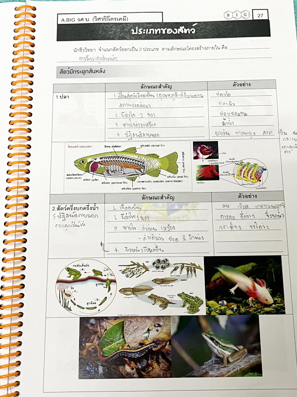 ►สสวท. ป.5◄ หนังสือเรียนพิเศษ อ.บิ๊ก ป.5 สสวท. เล่ม 1-4 มีสรุปเนื้อหาและโจทย์ Test ข้อสอบประจำบท จดครบเกือบทั้งเล่ม จดละเอียด มีบางหน้าเว้นว่างไปบ้างไม่ได้จด หนังสือใส่ปกสันเกลียว เปิดอ่านง่าย