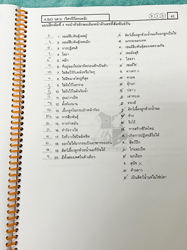 ►สสวท. ป.5◄ หนังสือเรียนพิเศษ อ.บิ๊ก ป.5 สสวท. เล่ม 1-4 มีสรุปเนื้อหาและโจทย์ Test ข้อสอบประจำบท จดครบเกือบทั้งเล่ม จดละเอียด มีบางหน้าเว้นว่างไปบ้างไม่ได้จด หนังสือใส่ปกสันเกลียว เปิดอ่านง่าย
