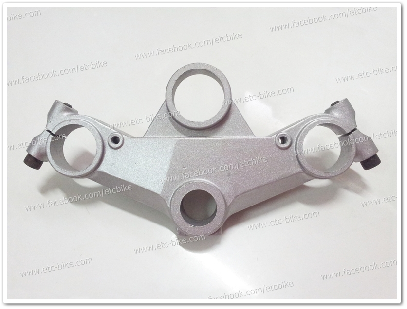 แผงคอบน VR150, TZR