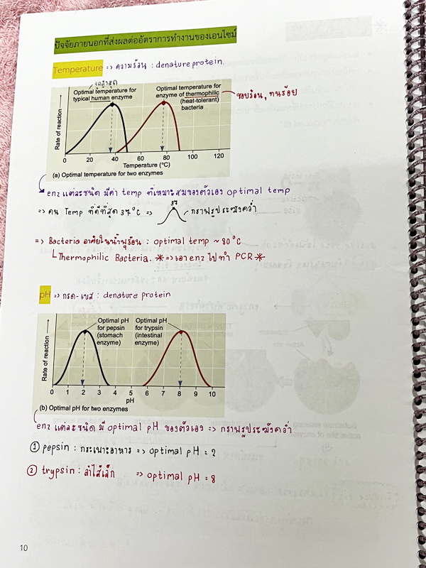 ►หมอพิชญ์ Biobeam◄ หนังสือกวดวิชาปี 2566 หมอพิชญ์ไบโอบีม ICU ไอซียู ครบเซ็ท 8 เล่ม สรุปเนื้อหาทั้งหมดในระดับชั้น ม.ปลาย ม.4-5-6 เนื้อหายากลึกถึงเตรียมตัวสอบเข้ามหาวิทยาลัย สอบแพทย์ TPAT 1 มีโจทย์ประจำบท ในหนังสือจดครบเกือบทั้งเล่ม จดละเอียด โจทย์มีจดเฉลยค