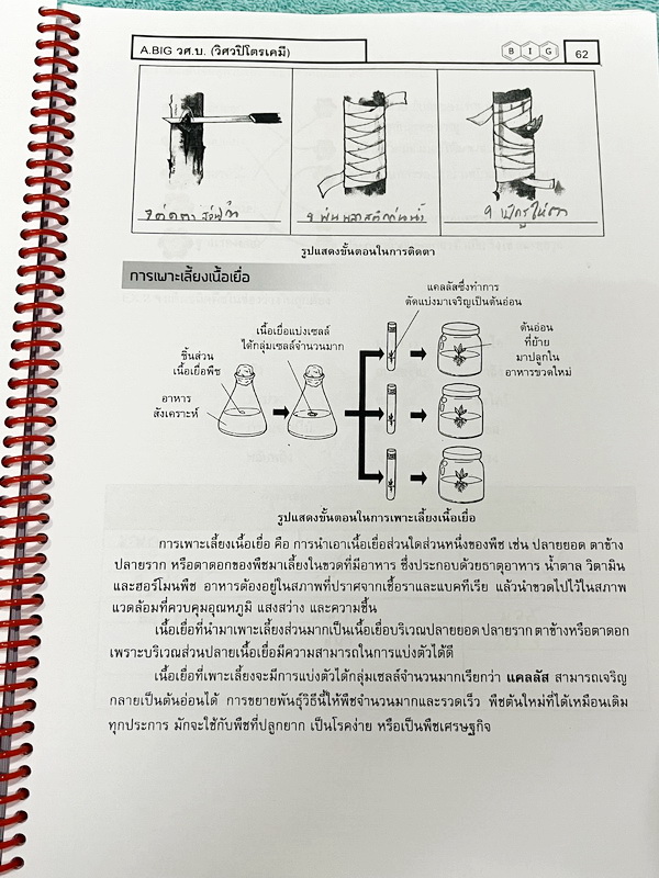►หนังสือวิทย์ สสวท. ป.5◄ หนังสือเรียนพิเศษ อ.บิ๊กวิชาวิทยาศาสตร์ป.5 สสวท. เล่ม 1-4 + ชีทเสริมในคอร์สเรียนอีก 4 ชุด มีสรุปเนื้อหาและโจทย์ Test ข้อสอบประจำบท จดครบเกือบทั้งเล่ม จดละเอียด มีบางหน้าเว้นว่างไปบ้างไม่ได้จด ส่วนใหญ่มีจดเยอะและจดละเอียดดี หนังสือ