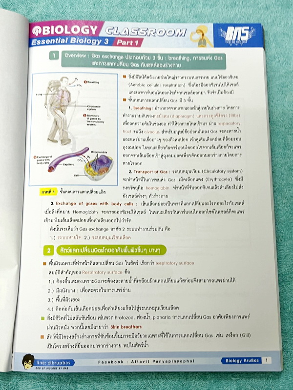 ►ครูบาส◄ หนังสือกวดวิชาชีววิทยา Essential Biology 3 เล่ม1+2 หัวข้อ Human Body System มีสรุปเนื้อหา และรวมโจทย์ข้อสอบแข่งขันประจำบท หนังสือมีเขียนเล็กน้อย ไม่มีเฉลย หนังสือสภาพแทบใหม่เอี่ยม หนังสือพิมพ์สีสวยงามน่าอ่าน