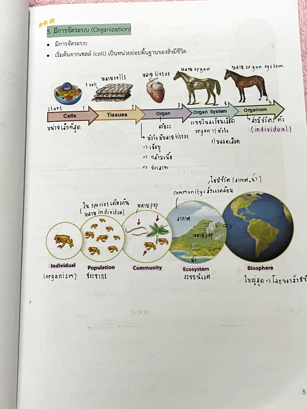 ►หมอพิชญ์ Biobeam◄ หนังสือกวดวิชาปี 2566 หมอพิชญ์ไบโอบีม ICU ไอซียู ครบเซ็ท 8 เล่ม สรุปเนื้อหาทั้งหมดในระดับชั้น ม.ปลาย ม.4-5-6 เนื้อหายากลึกถึงเตรียมตัวสอบเข้ามหาวิทยาลัย สอบแพทย์ TPAT 1 มีโจทย์ประจำบท ในหนังสือจดครบเกือบทั้งเล่ม จดละเอียด โจทย์มีจดเฉลยค