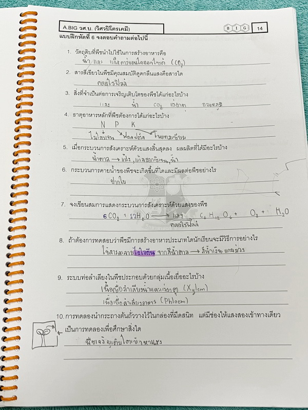 ►หนังสือวิทย์ สสวท. ป.5◄ หนังสือเรียนพิเศษ อ.บิ๊กวิชาวิทยาศาสตร์ป.5 สสวท. เล่ม 1-4 + ชีทเสริมในคอร์สเรียนอีก 4 ชุด มีสรุปเนื้อหาและโจทย์ Test ข้อสอบประจำบท จดครบเกือบทั้งเล่ม จดละเอียด มีบางหน้าเว้นว่างไปบ้างไม่ได้จด ส่วนใหญ่มีจดเยอะและจดละเอียดดี หนังสือ