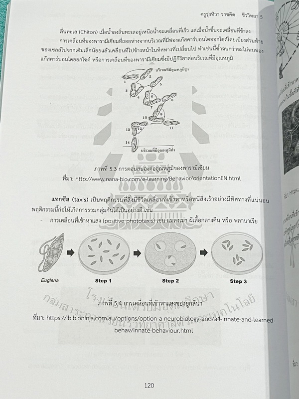 ►หนังสือเรียนโรงเรียนเตรียมอุดม◄ เอกสารประกอบการเรียนรายวิชาวิทยาศาสตร์ ชีววิทยา5 ระดับชั้น ม.6 จัดทำโดยกลุ่มสาระการเรียนรู้วิทยาศาสตร์ มีสรุปเนื้อหาและโจทย์แบบทดสอบ โจทย์เข้มข้น จดเล็กน้อย ไม่มีเฉลย หนังสือเล่มหนาใหญ่