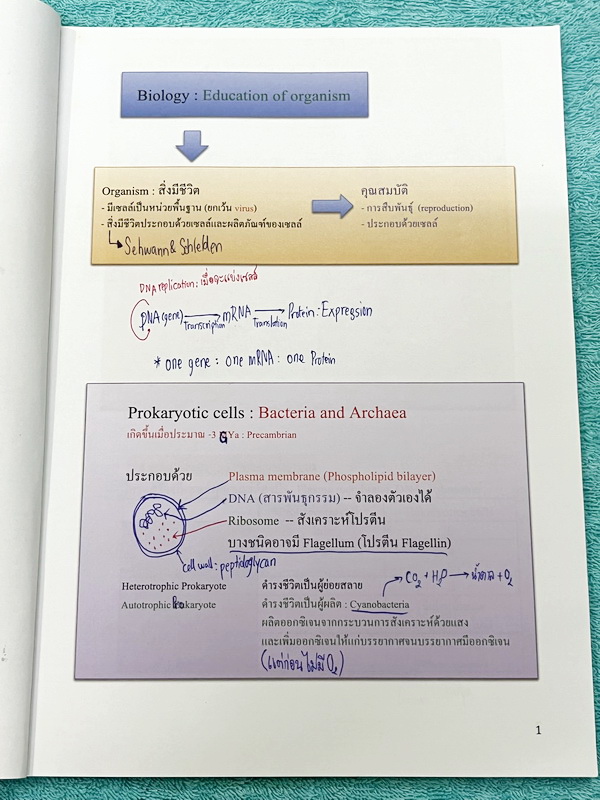 ►หนังสือเรียนชีวะ ม.ต้น◄ หนังสือกวดวิชาหมอพิชญ์ไบโอบีม Fundamental Coma สรุปเนื้อหาของชีวะ ม.ต้นแบบกระชับสั้นๆทั้งหมดในเล่มเดียว เนื้อหายากลึกถึงเตรียมตัวสอบเข้า ม.4 โรงเรียนดัง จดครบเกือบทั้งเล่ม จดละเอียด หนังสือพิมพ์สีสวยงามเกือบทั้งเล่ม