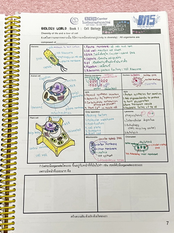 ►ครูบาส◄ หนังสือเรียนพิเศษ Basic Bio M.4 ในหนังสือมีสรุปเนื้อหาและตัวอย่างข้อสอบ จดครบเกือบทั้งเล่ม จดละเอียดด้วยปากกาสี ลายมือจดน้องผู้หญิงเป็นระเบียบเรียบร้อย ตั้งใจเรียน หนังสือพิมพ์สีสวยงามทั้งเล่ม หนังสือใส่ปกสันเกลียว เปิดอ่านง่าย