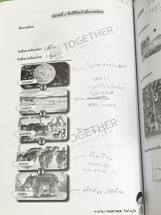 ►วิทย์สอบเข้าม.1◄ หนังสือกวดวิชา Together ครูวัน วิทยาศาสตร์เตรียมสอบเข้า ม.1 มีสรุปเนื้อหา โจทย์ประจำบท จดครบเกือบทั้งเล่ม จดละเอียด หนังสือเล่มหนาใหญ่