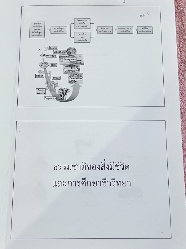 ►ครูพี่อร◄ ครูอติพร โค้งสุดท้าย ชีวะม.ต้น สรุปเนื้อหาวิชาชีววิทยาระดับชั้น ม.1-ม.3 มีจดครบเกือบทั้งเล่ม จดละเอียด ด้านหลังมีโจทย์แบบฝึกหัด มีจดเฉลยครบเกือบทุกข้อ อาจารย์มีเน้นย้ำจุดสำคัญที่ควรจำ ควรใส่ใจเป็นพิเศษ