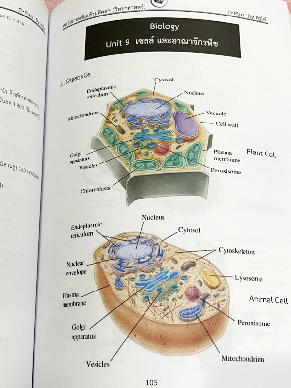 ►สอบเข้ามหิดล◄ พี่โอ๋โอพลัส Oplus วิทยาศาสตร์กวดเข้มเข้ามหิดลวิทยานุสรณ์ เล่ม 1+2 ครบเซ็ท สรุปเนื้อหาครบทุกบท มีแบบฝึกหัดประจำบท ในหนังสือมีจดบางหน้า จดละเอียด ทุกบทมีการบ้านเป็นตะลุยข้อสอบเก่า 12 ปีล่าสุด มีเฉลยครบทุกข้อ ด้านหลังมีข้อสอบ สสวท. วิชาวิทยาศ
