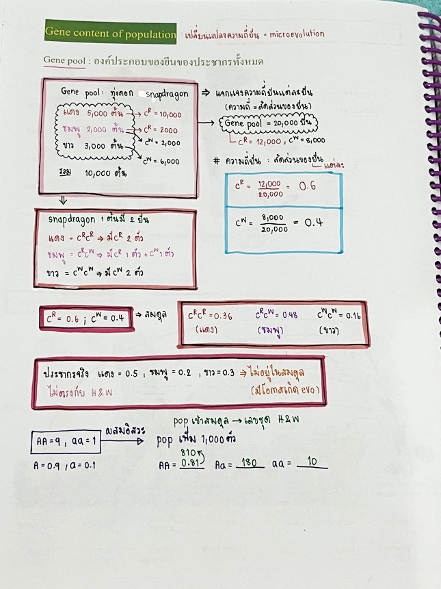 ►หมอพิชญ์ Biobeam◄ หนังสือเรียนชีววิทยา คอร์ส ICU ไอซียู ครบเซ็ท 8 เล่ม พร้อมไฟล์จดเนื้อหาครบทั้งเซ็ทแบบละเอียดมากครบทั้ง 8 เล่ม และไฟล์ชีทเสริม ในหนังสือจดครบเกือบทั้งเล่ม จดละเอียด มีวาดภาพประกอบเนื้อหาเยอะมาก แบบฝึกหัดประจำบทมีจดเฉลยบางข้อ เฉพาะเล่ม 8