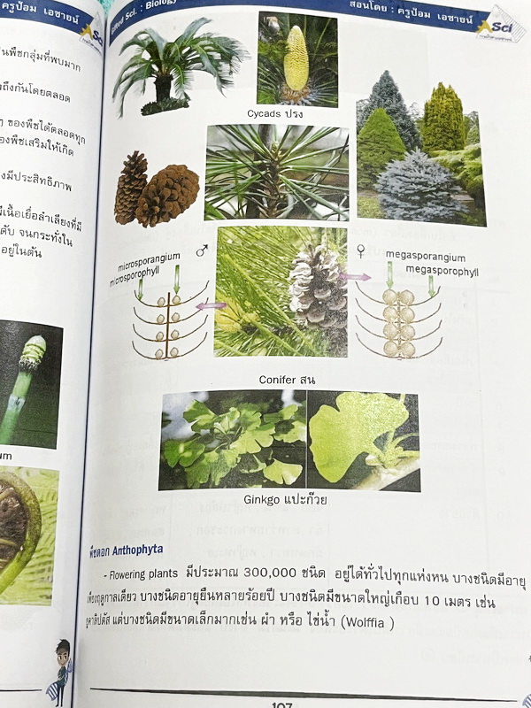 ►GIFTED SCI.◄ ASCI Tutor เอซายน์ ครูป้อม หนังสือเรียนวิทย์ ม.ต้น GIFTED SCI. ชีววิทยาเล่ม 1-2 มีสรุปเนื้อหา เนื้อหาตีพิมพ์สมบูรณ์ มีโจทย์ประจำบท จดบางหน้า จดละเอียด โจทย์ไม่มีเฉลย มีจดเน้นจุดที่ออกในข้อสอบ TU หนังสือเล่มหนาใหญ่