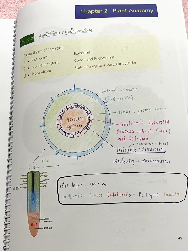 ►หมอพิชญ์ Biobeam◄ หนังสือกวดวิชาปี 2566 หมอพิชญ์ไบโอบีม ICU ไอซียู ครบเซ็ท 8 เล่ม สรุปเนื้อหาทั้งหมดในระดับชั้น ม.ปลาย ม.4-5-6 เนื้อหายากลึกถึงเตรียมตัวสอบเข้ามหาวิทยาลัย สอบแพทย์ TPAT 1 มีโจทย์ประจำบท ในหนังสือจดครบเกือบทั้งเล่ม จดละเอียด โจทย์มีจดเฉลยค