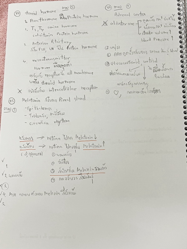 ►อ.หมูแดง◄ BIO 5121 หนังสือกวดวิชาชีววิทยา อ.หมูแดง ชีววิทยาเพื่อสอบเข้าแพทย์ กสพท. และสอบเข้ามหาวิทยาลัย Series 2 จดครบเกือบทั้งเล่ม มีวาดภาพประกอบเนื้อหาหลายหน้า มีจดเฉลยในกระดาษฝั่งซ้ายของหนังสือ จดละเอียด หนังสือใส่ปกสันเกลียว เปิดอ่านง่าย