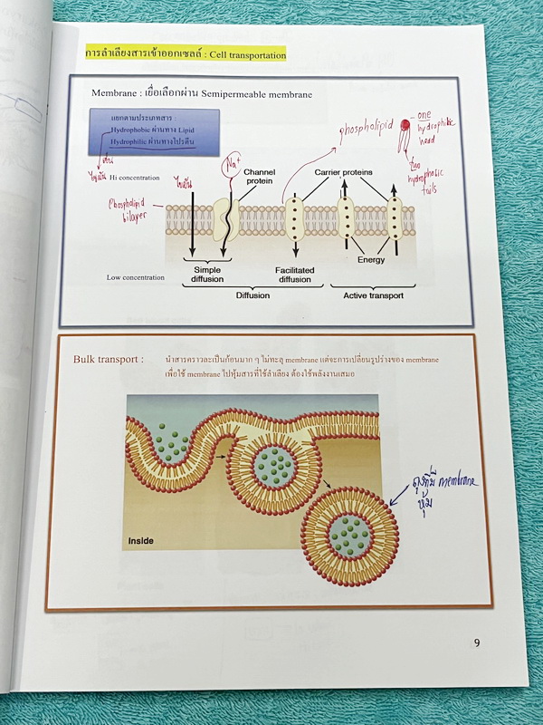 ►หนังสือเรียนชีวะ ม.ต้น◄ หนังสือกวดวิชาหมอพิชญ์ไบโอบีม Fundamental Coma สรุปเนื้อหาของชีวะ ม.ต้นแบบกระชับสั้นๆทั้งหมดในเล่มเดียว เนื้อหายากลึกถึงเตรียมตัวสอบเข้า ม.4 โรงเรียนดัง จดครบเกือบทั้งเล่ม จดละเอียด หนังสือพิมพ์สีสวยงามเกือบทั้งเล่ม