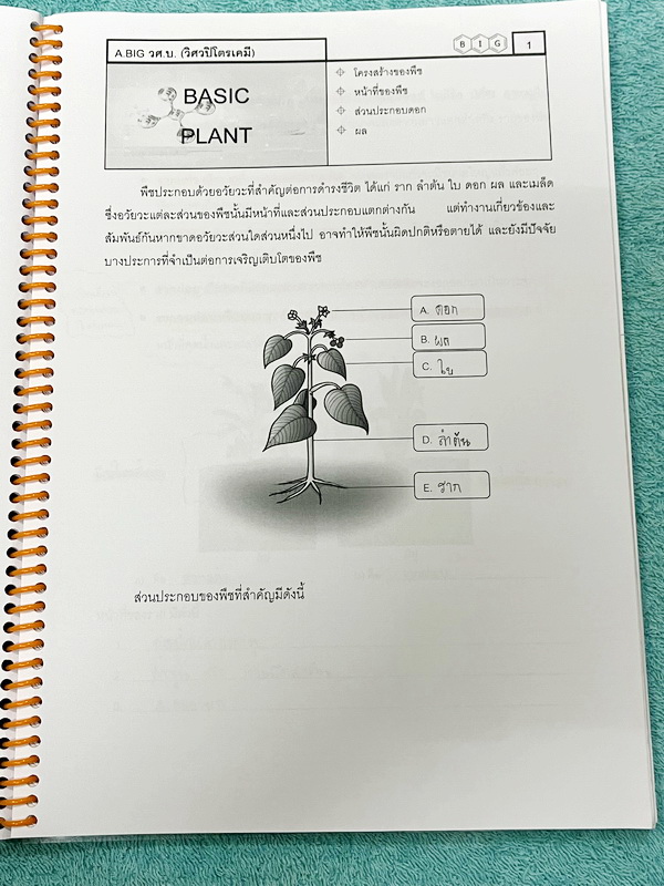►หนังสือวิทย์ สสวท. ป.5◄ หนังสือเรียนพิเศษ อ.บิ๊กวิชาวิทยาศาสตร์ป.5 สสวท. เล่ม 1-4 + ชีทเสริมในคอร์สเรียนอีก 4 ชุด มีสรุปเนื้อหาและโจทย์ Test ข้อสอบประจำบท จดครบเกือบทั้งเล่ม จดละเอียด มีบางหน้าเว้นว่างไปบ้างไม่ได้จด ส่วนใหญ่มีจดเยอะและจดละเอียดดี หนังสือ