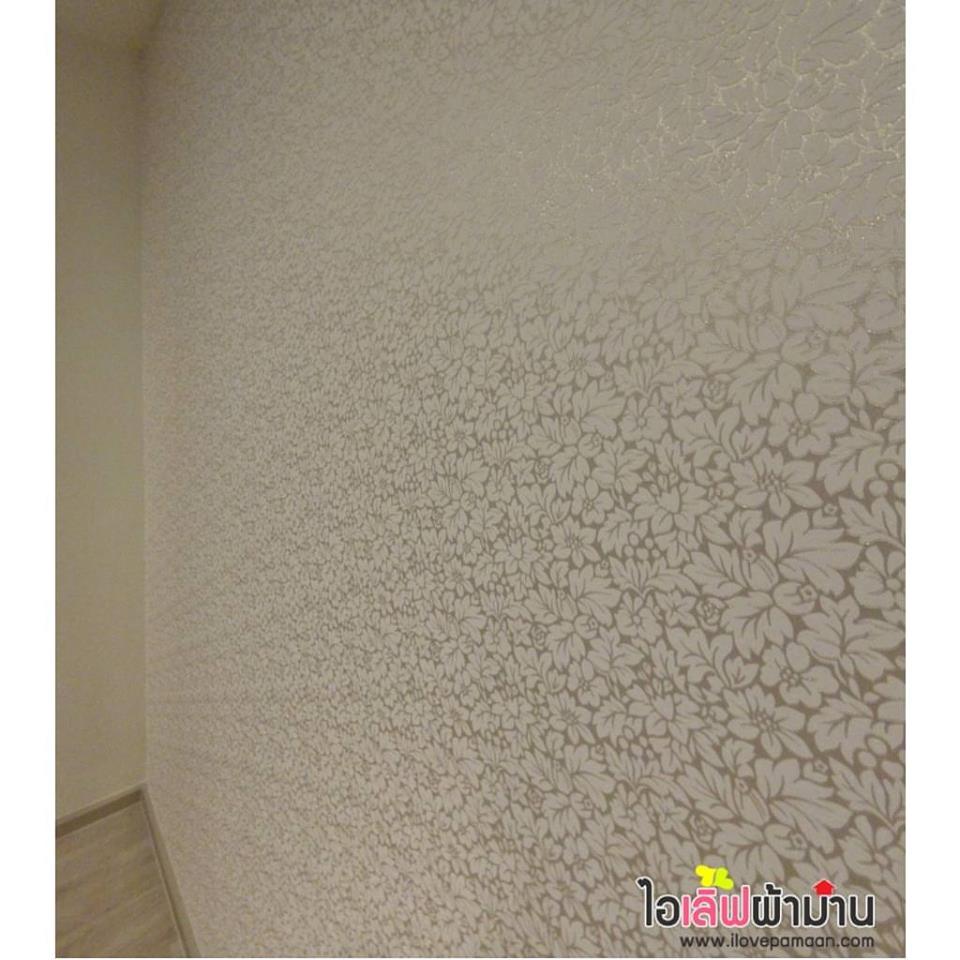 แชมเบอร์ชาน ลาดพร้าว-วังหิน ม่านตาไก่ ลอนสวยงาม