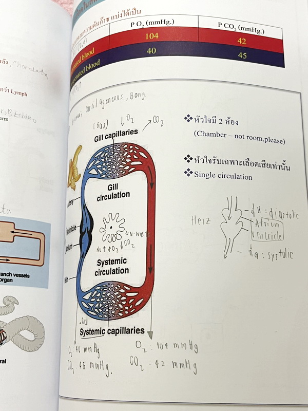 ►ชีววิทยา ม.ต้น◄ หนังสือกวดวิชาหมอพิชญ์ไบโอบีม Fundamental Biology ชีววิทยา ม.ต้น Biobeam สรุปเนื้อหาทุกบทในวิชาวิทยาศาสตร์ชีววิทยา ระดับชั้นมัธยมศึกษาตอนต้น ม.1-2-3 เนื้อหายากลึกถึงสอบเข้า ม.4 ร.ร.ดัง ในหนังสือจดครบเกือบทั้งเล่ม จดละเอียด มีวาดภาพประกอบเ