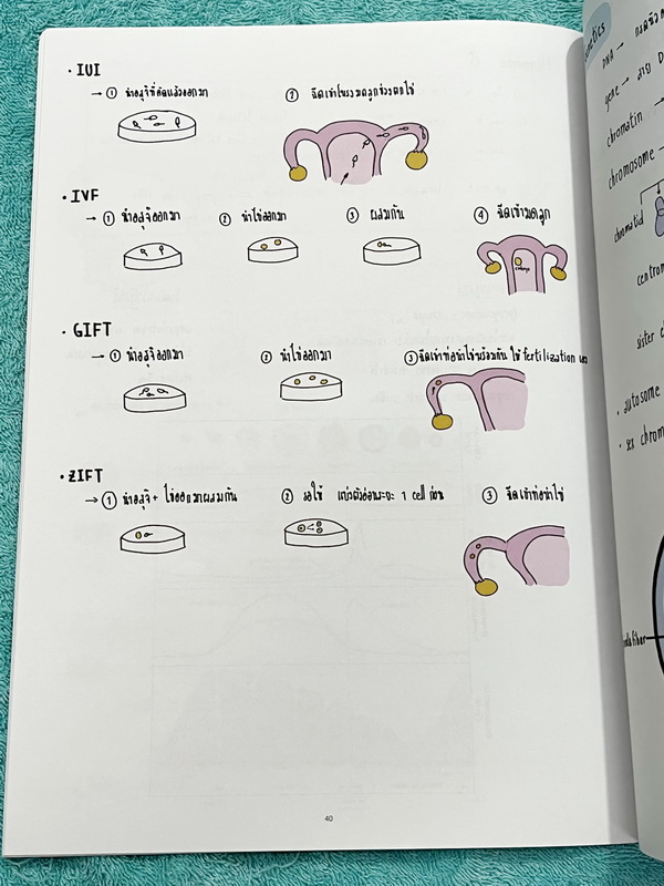 ►หนังสือรุ่นพี่เตรียมอุดม◄ Biology Short Note Form หนังสือสรุปชีววิทยา สรุปย่อๆกระชับให้เห็นภาพรวมของTopic + เนื้อหาทั้งหมดที่ต้องใช้สอบเข้าเตรียมอุดม พิมพ์สีสวยงาม เนื้อหาพิมพ์สมบูรณ์ หนังสือหนา 48 หน้า