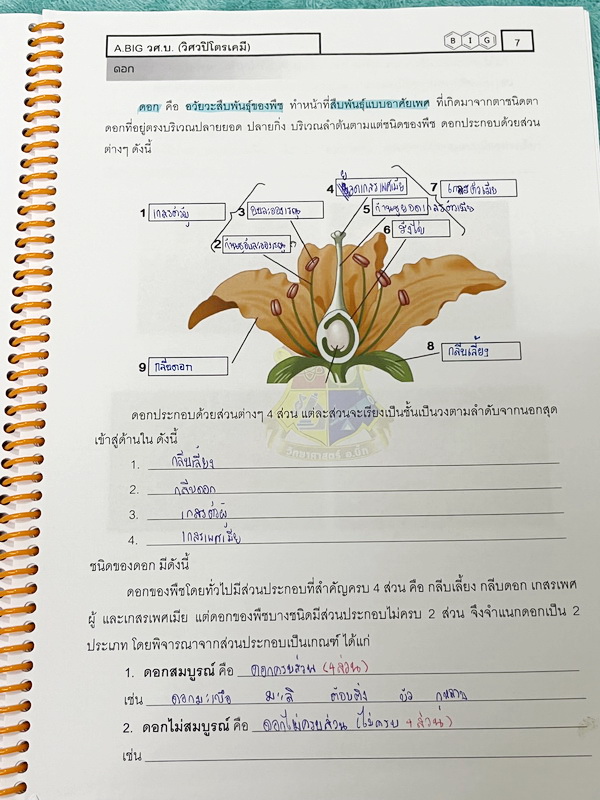 ►สสวท. ป.5◄ หนังสือเรียนพิเศษ อ.บิ๊ก ป.5 สสวท. เล่ม 1-4 มีสรุปเนื้อหาและโจทย์ Test ข้อสอบประจำบท จดครบเกือบทั้งเล่ม จดละเอียด มีบางหน้าเว้นว่างไปบ้างไม่ได้จด หนังสือใส่ปกสันเกลียว เปิดอ่านง่าย