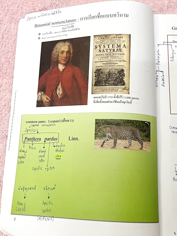 ►ชีววิทยา ม.ต้น◄ หนังสือกวดวิชาหมอพิชญ์ไบโอบีม Fundamental Biology ชีววิทยา ม.ต้น Biobeam สรุปเนื้อหาทุกบทในวิชาวิทยาศาสตร์ชีววิทยา ระดับชั้นมัธยมศึกษาตอนต้น ม.1-2-3 เนื้อหายากลึกถึงสอบเข้า ม.4 ร.ร.ดัง ในหนังสือจดครบเกือบทั้งเล่ม จดละเอียด มีวาดภาพประกอบเ