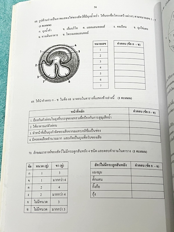 ►ข้อสอบโอลิมปิก◄ ข้อสอบชีววิทยาโอลิมปิกระหว่างประเทศ ปี 2548 ณ ประเทศกรุงปักกิ่ง สาธารณรัฐประชาชนจีน โดยสถาบันส่งเสริมการสอบวิทยาศาสตร์และเทคโนโลยี สสวท. ในหนังสือรวบรวมข้อสอบแข่งขันจริง มีเฉลยด้านหลัง หายาก ไม่มีตีพิมพ์เพิ่มแล้ว ขายเกินราคาปก หนังสือใหม่