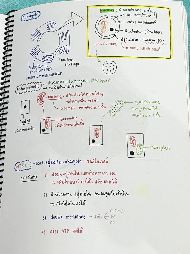 ►หมอพิชญ์ Biobeam◄ หนังสือเรียนชีววิทยา คอร์ส ICU ไอซียู ครบเซ็ท 8 เล่ม พร้อมไฟล์จดเนื้อหาครบทั้งเซ็ทแบบละเอียดมากครบทั้ง 8 เล่ม และไฟล์ชีทเสริม ในหนังสือจดครบเกือบทั้งเล่ม จดละเอียด มีวาดภาพประกอบเนื้อหาเยอะมาก แบบฝึกหัดประจำบทมีจดเฉลยบางข้อ เฉพาะเล่ม 8