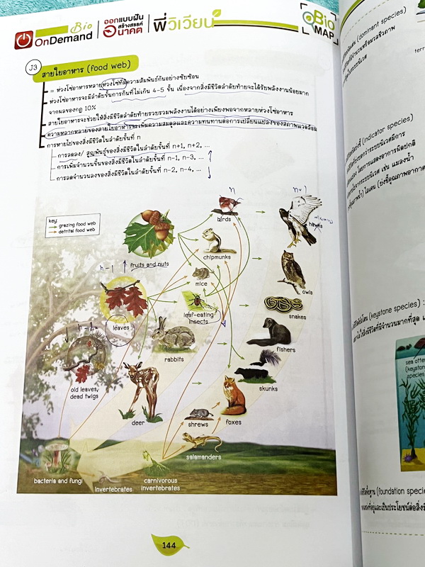 ►ชีววิทยา ม.ปลาย◄ หนังสือกวดวิชาออนดีมานด์ ชีววิทยาพี่วิเวียน TCAS ครบเซ็ท 6 เล่ม + ไฟล์โจทย์ข้อสอบปี 2565-2566 และเฉลยละเอียด - ในหนังสือมีสรุปเนื้อหาวิชาชีววิทยา ม.ปลายอย่างละเอียด เนื้อหาครอบคลุมตั้งแต่ระดับชั้น ม.4-5-6 เนื้อหาลึกถึงสอบเข้ามหาลัย หนังส