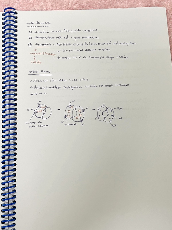 ►อ.หมูแดง◄ ชีววิทยาอาจารย์หมูแดง เก็งข้อสอบชีววิทยาวิชาสามัญ และ PAT 2 ปี 2565 จดเฉลยครบเกือบทั้งหมด จดละเอียด หนังสือใส่ปกสันเกลียว เปิดอ่านง่าย