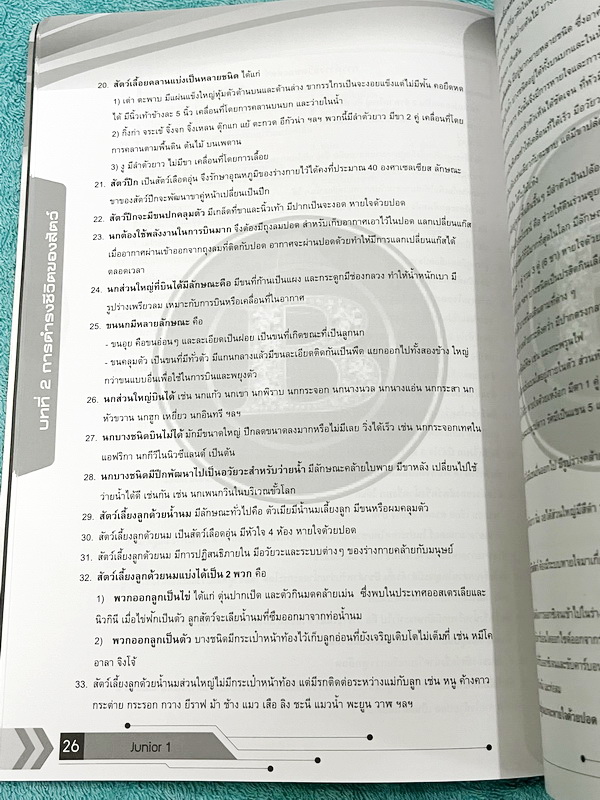 ►สอบเข้าม.1◄ อ.บิ๊ก A.BIG Center หนังสือเรียนพิเศษ Junior 1 สอบเข้า ม.1 โรงเรียนดัง เนื้อหาพื้นฐาน สรุปใจความสำคัญ อาจารย์สรุปเนื้อหาแบ่งออกเป็นข้อๆ ทำให้อ่านง่าย เข้าใจง่าย เนื้อหาตีพิมพ์สมบูรณ์ มีโจทย์ประจำบท หนังสือใหม่ไม่มีรอยขีดเขียน ไม่มีเฉลย สำเนา