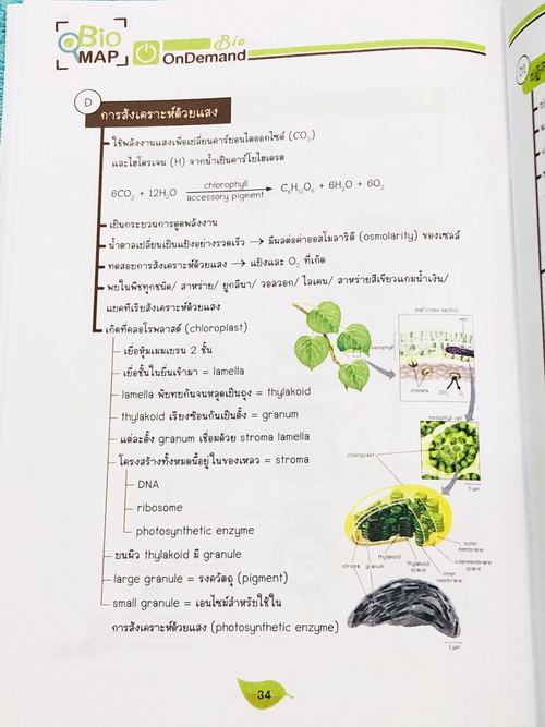 ►Bio Map Mini◄ ออนดีมานด์ พี่วิเวียน สรุปชีววิทยาฉบับพกพา มีสรุปเนื้อหาสำคัญ หนังสือพิมพ์สีทั้งเล่ม มีลำดับหัวข้อที่ชอบออกสอบบ่อยๆในข้อสอบ PAT2 มีเทคนิคลัดเยอะมาก หนังสือตีพิมพ์สมบูรณ์ทั้งเล่ม ในหนังสือมีเขียนเล็กน้อย