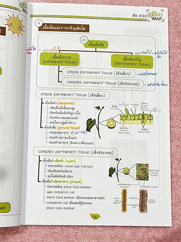 ►ออนดีมานด์◄ Set หนังสือเรียนพิเศษ + ไฟล์เฉลย วิชาวิทยาศาสตร์ ม.ต้น ชีววิทยาพี่วิเวียน เล่ม 1-8 ครบเซ็ท 8 เล่ม ครอบคลุมเนื้อหาตั้งแต่ระดับชั้นม.ต้น ม.1-2-3 เนื้อหายากลึกถึงสอบเข้า ม.4 โรงเรียนดัง จดบางหน้า จดละเอียด มีจดเทคนิคลัดการทำโจทย์ หนังสือพิมพ์สีใ