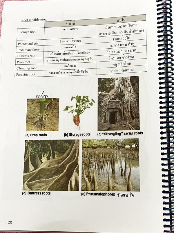 ►ชีววิทยา ม.ต้น◄ หนังสือกวดวิชาหมอพิชญ์ไบโอบีม Fundamental Biology ชีววิทยา ม.ต้น Biobeam สรุปเนื้อหาทุกบทในวิชาวิทยาศาสตร์ชีววิทยา ระดับชั้นมัธยมศึกษาตอนต้น ม.1-2-3 เนื้อหายากลึกถึงสอบเข้า ม.4 ร.ร.ดัง ในหนังสือจดครบเกือบทั้งเล่ม จดละเอียด มีวาดภาพประกอบเ