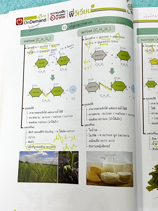 ►ชีววิทยา ม.ปลาย◄ หนังสือกวดวิชาออนดีมานด์ ชีววิทยาพี่วิเวียน TCAS ครบเซ็ท 6 เล่ม + ไฟล์โจทย์ข้อสอบปี 2565-2566 และเฉลยละเอียด - ในหนังสือมีสรุปเนื้อหาวิชาชีววิทยา ม.ปลายอย่างละเอียด เนื้อหาครอบคลุมตั้งแต่ระดับชั้น ม.4-5-6 เนื้อหาลึกถึงสอบเข้ามหาลัย หนังส