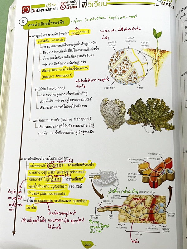 ►สอบเข้ากำเนิดวิทย์, มหิดล,เตรียมอุดม◄ หนังสือกวดวิชาออนดีมานด์ พี่วิเวียน ติวเข้มเนื้อหาชีววิทยาสอบเข้าเตรียมอุดม มหิดล กำเนิดวิทย์ และโรงเรียนแข่งขันสูง มีสรุปเนื้อหาและโจทย์แบบฝึกหัดประจำบท โจทย์มีความยากระดับ Advanced เหมาะสำหรับเด็กที่มีพื้นฐานดี โจท