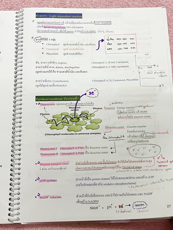 ►หมอพิชญ์ Biobeam◄ Set หนังสือคอร์ส Coma 2 เล่ม ประกอบด้วยเล่มสรุปเนื้อหาและเล่ม Quiz ตะลุยโจทย์ - เล่มสรุปเนื้อหา มีสรุปชีววิทยาระดับชั้น ม.ปลายทั้งหมด เพื่อเตรียมตัวสอบเข้ามหาวิทยาลัย เนื้อหาตีพิมพ์สมบูรณ์ทั้งเล่ม จดครบเกือบทั้งเล่ม จดละเอียด หนังสือพิม