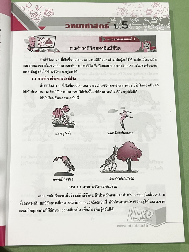 ►วิทย์ประถมปลาย ◄ หนังสือ Hi-Ed อ.สมพงษ์ เก่งวิทยาศาสตร์ป.5-ป.6 มีสรุปเนื้อหา โจทย์แบบทดสอบ มีเฉลยละเอียดครบทุกข้อ หนังสือมีทำโจทย์ไปแล้วบางหน้า หนังสือหายาก ขายเกินราคาปก