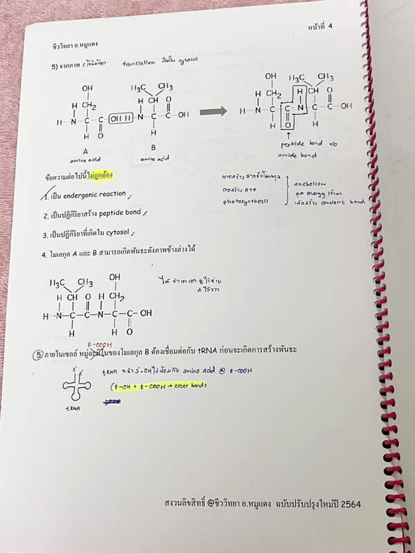 ►อ.หมูแดง◄ ชีววิทยาอาจารย์หมูแดง ชีววิทยาเพื่อสอบแพทย์ กสพท.และสอบเข้ามหาลัย จดครบเกือบทั้งเล่ม จดละเอียด หนังสือใส่ปกสันเกลียว เปิดอ่านง่าย หนังสือเล่มหนาใหญ่