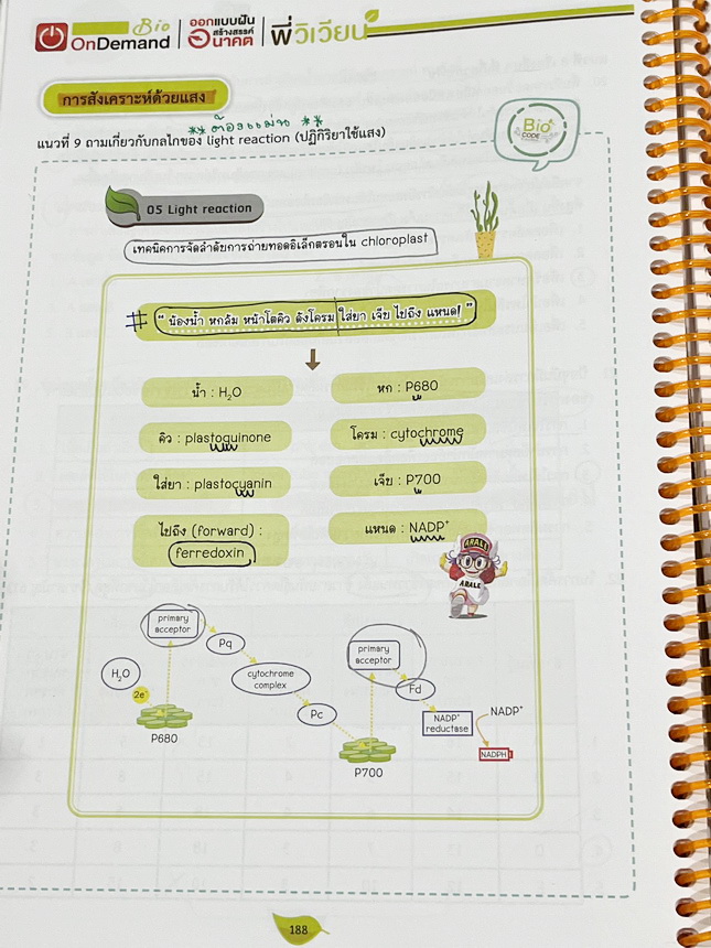 ►ชีววิทยา A-Level◄ หนังสือกวดวิชาออนดีมานด์ Upskill อัพสกิลชีววิทยา A-Level เล่ม 1-2 มีสรุปเนื้อหาสำคัญสั้นๆกระชับ เพื่อใช้เตรียมสอบ ม.ปลาย A-Level มีโจทย์เยอะมาก จดครบเกือบทั้งเล่ม จดละเอียด มีจดเน้นจุดที่ออกสอบบ่อยๆ หนังสือเล่มใหญ่ หนังสือใส่ปกสันเกลียว