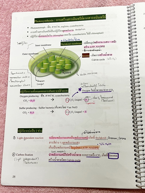 ►หมอพิชญ์ Biobeam◄ Set หนังสือคอร์ส Coma 2 เล่ม ประกอบด้วยเล่มสรุปเนื้อหาและเล่ม Quiz ตะลุยโจทย์ - เล่มสรุปเนื้อหา มีสรุปชีววิทยาระดับชั้น ม.ปลายทั้งหมด เพื่อเตรียมตัวสอบเข้ามหาวิทยาลัย เนื้อหาตีพิมพ์สมบูรณ์ทั้งเล่ม จดครบเกือบทั้งเล่ม จดละเอียด หนังสือพิม