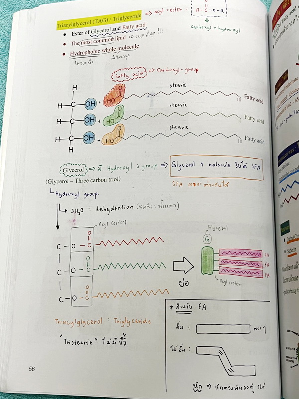 ►หมอพิชญ์ Biobeam◄ หนังสือเรียนวิชาชีววิทยาคอร์ส ICU ไอซียู ครบเซ็ท 8 เล่ม สรุปเนื้อหาระดับชั้น ม.ปลาย ทั้งหมด เนื้อหาครอบคลุมระดับชั้น ม.4-5-6 เพื่อเตรียมตัวสอบเข้ามหาวิทยาลัย สอบแพทย์ กสพท. มีโจทย์และโจทย์ข้อสอบจริงประจำบท ในหนังสือเล่ม 1-5 จดครบเกือบทั