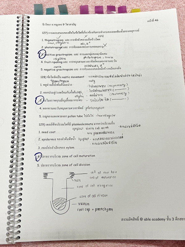 ►อ.หมูแดง◄ หนังสือกวดวิชาชีววิทยา Able Academy อ.หมูแดง เพื่อสอบเข้าแพทย์ กสพท. และสอบเข้ามหาวิทยาลัย Series 2 จดครบเกือบทั้งเล่ม จดละเอียด หนังสือใส่ปกสันเกลียว เปิดอ่านง่าย
