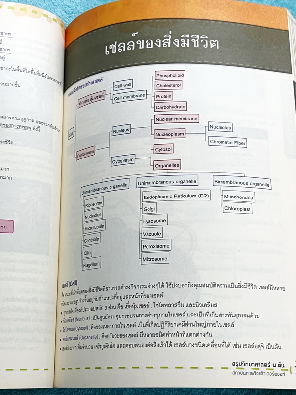 ►ติวเตอร์พอยท์◄ หนังสือสรุปวิทยาศาสตร์ ม.ต้น เตรียมสอบในห้องและสอบเข้าม.4 เตรียมอุดม มหิดล จุฬาภรณ์ เนื้อหสตีพิมพ์สมบูรณ์ทั้งเล่ม ในหนังสือมีเขียนด้วยดินสอ และมีรอยไฮไลท์เล็กน้อย มีแนวข้อสอบเข้า ม.4 และมีเฉลยครบทุกข้อ หนังสือหายาก ขายเกินราคาปก
