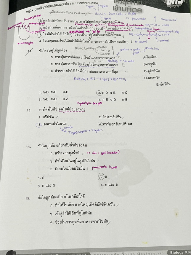 ►สอบเข้ามหิดล◄ ครูบาส Further Academy ตะลุยโจทย์ชีวะเพื่อการแข่งขัน ม.ต้น โค้งสุดท้ายเข้ามหิดล มีรวมข้อสอบแข่งขันเพื่อเตรียมตัวสอบเข้าม.4โรงเรียนมหิดลวิทยานุสรณ์ โจทย์ข้อสอบมีจดเฉลยบางข้อ จดละเอียด และไม่มีเฉลย หนังสือเล่มหนาใหญ่ *หนังสือมีรอยคราบเปียกน้ำ