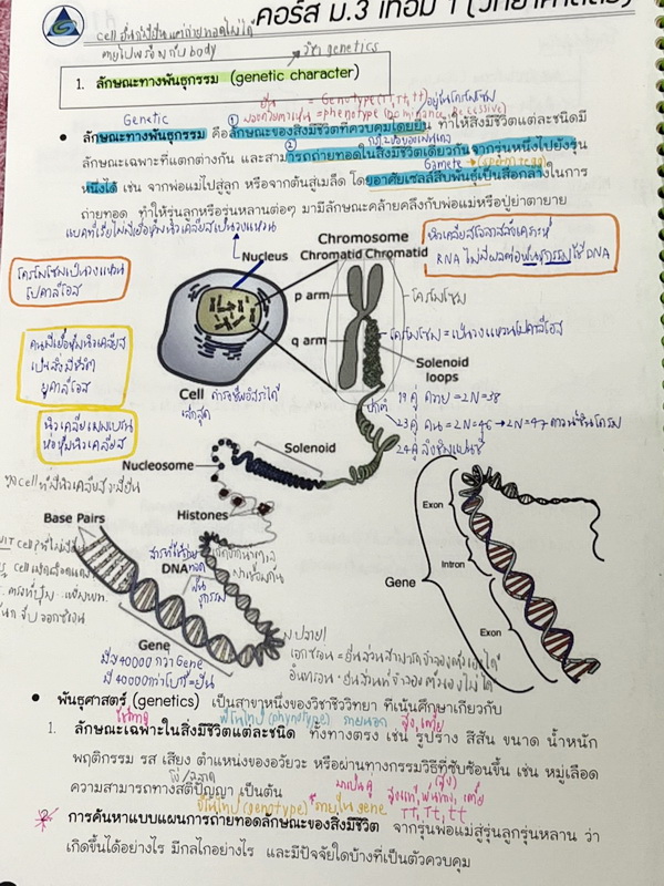 ►พี่โอ๋โอพลัส◄ หนังสือเรียนพิเศษ O-Plus 2 เล่ม วิชาวิทยาศาสตร์ระดับชั้น ม.3 ครบทั้งปี ม.3 เทอม 1 + ม.3 เทอม 2 มีสรุปเนื้อหาสำคัญ เนื้อหายากลึกถึงเตรียมตัวสอบเข้า ม.4 โรงเรียนดัง มีโจทย์แนวข้อสอบและแบบฝึกหัดประจำบท ด้านหลังมีเฉลยของอาจารย์ ในหนังสือมีจดบาง