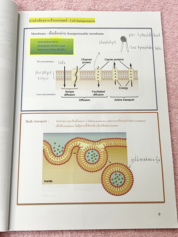 ►ชีววิทยา ม.ต้น◄ หนังสือกวดวิชาหมอพิชญ์ไบโอบีม Fundamental Coma สรุปเนื้อหาของชีวะ ม.ต้นแบบกระชับสั้นๆทั้งหมดในเล่มเดียว เนื้อหายากลึกถึงเตรียมตัวสอบเข้า ม.4 โรงเรียนดัง จดครบเกือบทั้งเล่ม จดละเอียด หนังสือพิมพ์สีสวยงามเกือบทั้งเล่ม ลายมือจดโดยน้องผู้หญิง