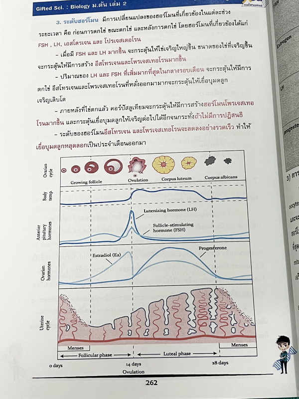 ►GIFTED SCI.◄ ASCI Tutor เอซายน์ ครูป้อม หนังสือเรียนวิทย์ ม.ต้น GIFTED SCI. ชีววิทยาเล่ม 1-2 มีสรุปเนื้อหา เนื้อหาตีพิมพ์สมบูรณ์ มีโจทย์ประจำบท จดบางหน้า จดละเอียด โจทย์ไม่มีเฉลย มีจดเน้นจุดที่ออกในข้อสอบ TU หนังสือเล่มหนาใหญ่