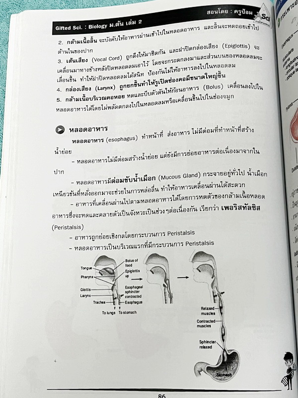 ►GIFTED SCI.◄ ASCI Tutor เอซายน์ ครูป้อม หนังสือเรียนวิทย์ ม.ต้น GIFTED SCI. ชีววิทยาเล่ม 1-2 มีสรุปเนื้อหา เนื้อหาตีพิมพ์สมบูรณ์ มีโจทย์ประจำบท จดบางหน้า จดละเอียด โจทย์ไม่มีเฉลย มีจดเน้นจุดที่ออกในข้อสอบ TU หนังสือเล่มหนาใหญ่