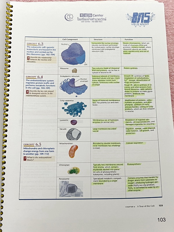 ►ครูบาส◄ หนังสือเรียนพิเศษ Basic Bio M.4 ในหนังสือมีสรุปเนื้อหาและตัวอย่างข้อสอบ จดครบเกือบทั้งเล่ม จดละเอียดด้วยปากกาสี ลายมือจดน้องผู้หญิงเป็นระเบียบเรียบร้อย ตั้งใจเรียน หนังสือพิมพ์สีสวยงามทั้งเล่ม หนังสือใส่ปกสันเกลียว เปิดอ่านง่าย